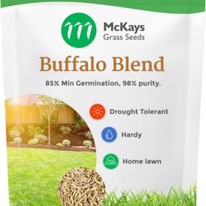 buffalo lawn seed blend